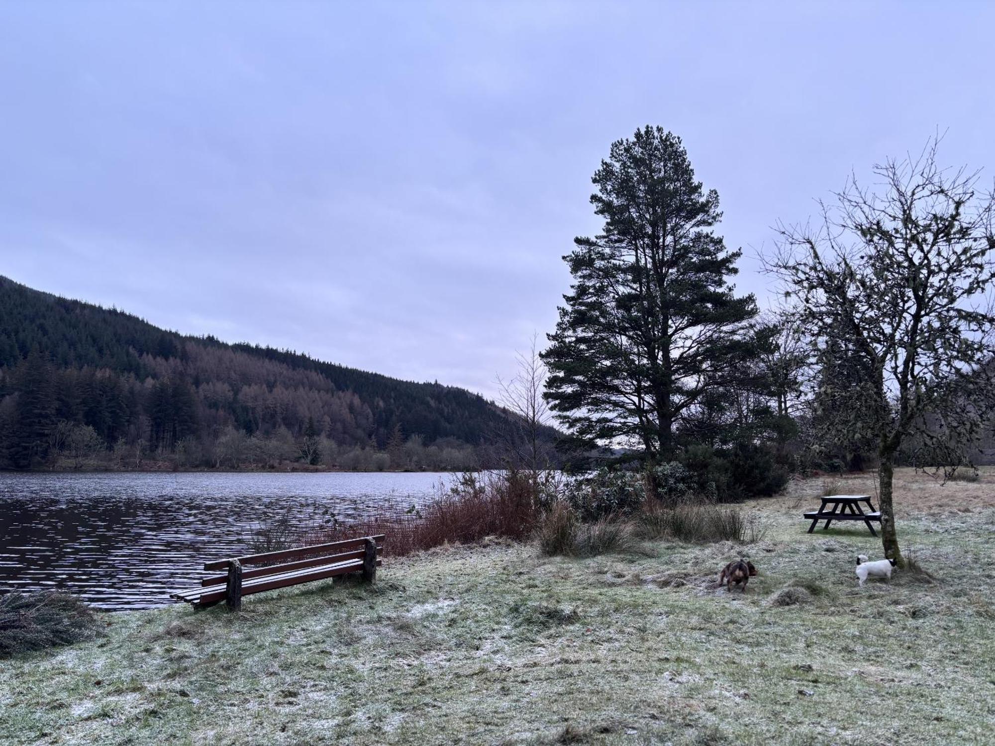 Bright Star Lodge Spean Bridge Eksteriør billede