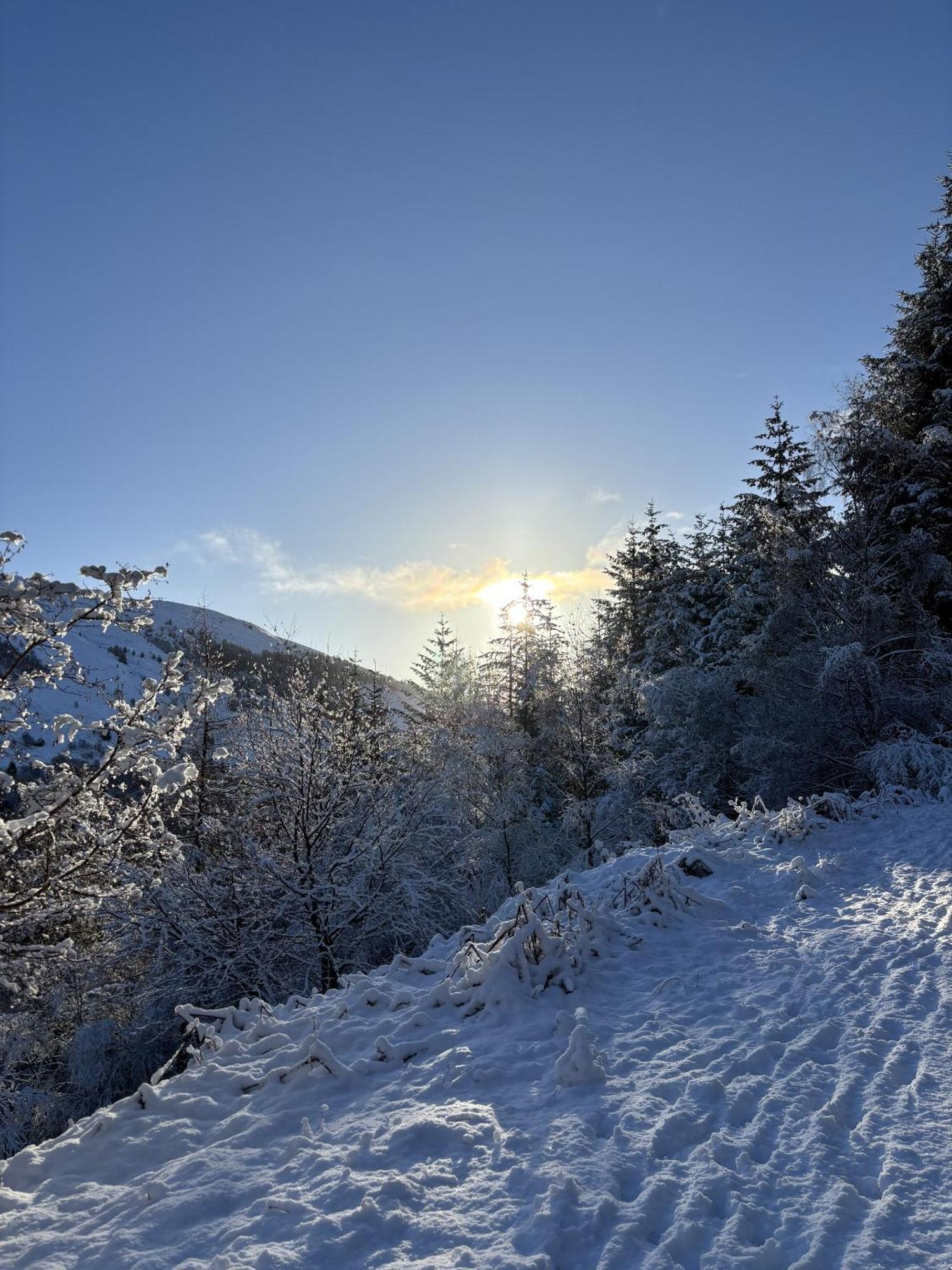 Bright Star Lodge Spean Bridge Eksteriør billede